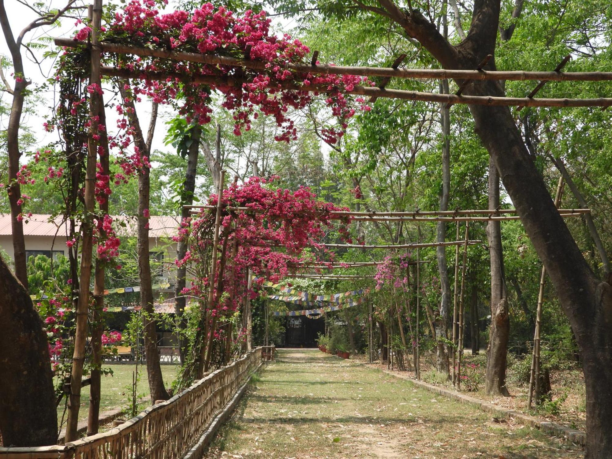 ลุมพินี บุดดา การ์เดน รีสอร์ต Hotel Rummindei ภายนอก รูปภาพ